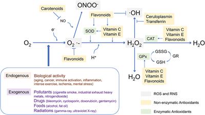 Oxidative Stress in Autism Spectrum Disorder—Current Progress of Mechanisms and Biomarkers